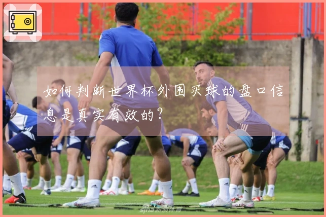 如何判断世界杯外围买球的盘口信息是真实有效的？