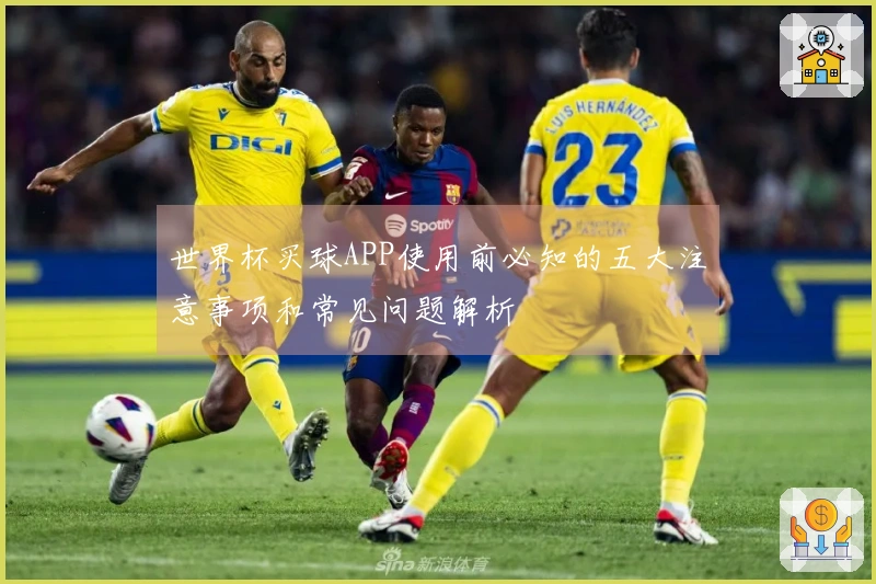 世界杯买球APP使用前必知的五大注意事项和常见问题解析