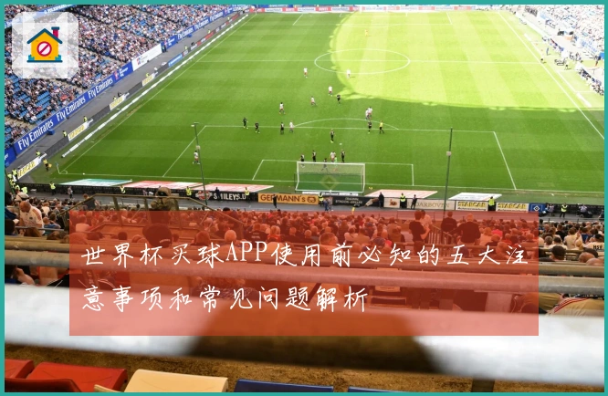 世界杯买球APP使用前必知的五大注意事项和常见问题解析