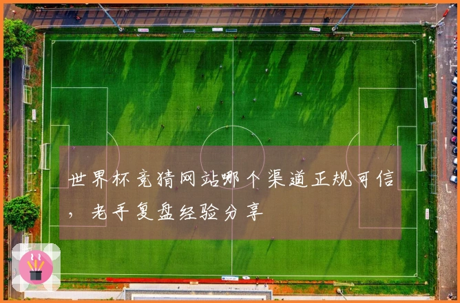 世界杯竞猜网站哪个渠道正规可信，老手复盘经验分享