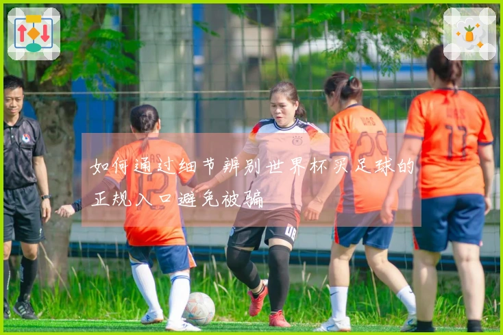 如何通过细节辨别世界杯买足球的正规入口避免被骗