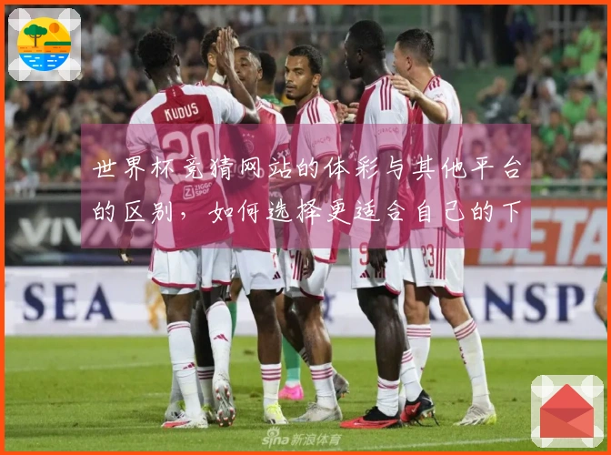 世界杯竞猜网站的体彩与其他平台的区别，如何选择更适合自己的下注方式？