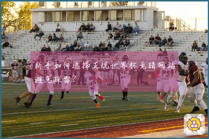 新手如何选择正规世界杯竞猜网站避免踩雷？